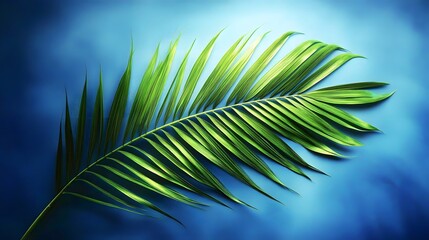 Tropical Green Palm Leaf on Blue Background, Vibrant Minimalist Nature Design