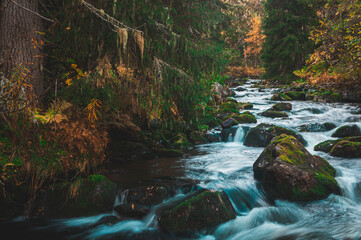 Beautiful autumn river scene in Fulufjallet National Park, Sweden with flowing water and vibrant colors