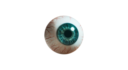 Realistic Human Eyeball with Blue Iris and Red Veins isolated on a transparent background
