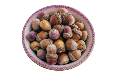 A rustic ceramic bowl filled with a collection of acorns.