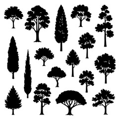 Fototapeta premium set of trees silhouettes
