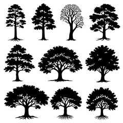 Fototapeta premium A comprehensive collection of tree silhouettes featuring vector illustrations of oak, pine, and palm branches in a black nature design pattern for forest art icons