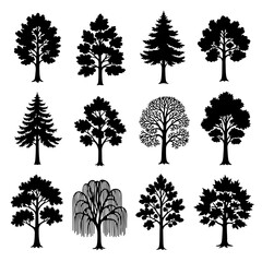Obraz premium set of trees silhouettes