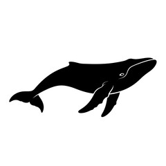 Whale Silhouette Illustration in Black on White Background for Ocean and Marine Life Stock