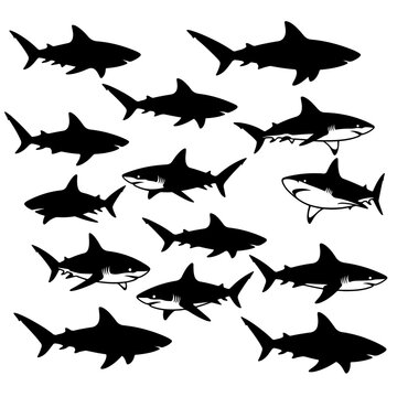 set of sharks vector