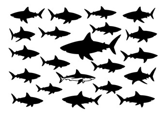 Set of fish silhouettes and marine animal vectors featuring shark and wildlife designs in a seamless underwater nature pattern for sea life ocean art illustrations