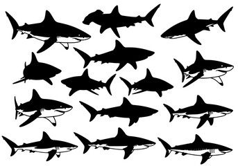 Sharks and Fish Silhouette Vector Collection in Black