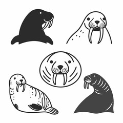 Collection of walrus illustrations with silhouette and outline styles