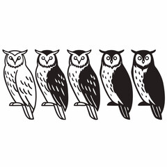 Five owls perched in a row, showcasing varying shades and patterns