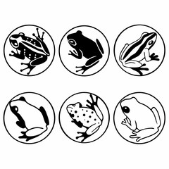 A diverse collection of frog illustrations, each showcasing unique patterns and characteristics