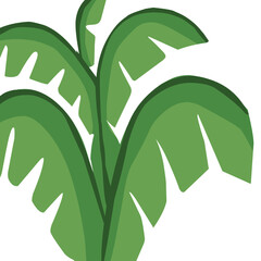 A vibrant digital illustration of a banana plant with large green leaves. The artwork features stylized, tropical foliage with smooth gradients and simple shapes, suitable for backgrounds, posters.