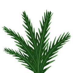 A detailed digital illustration of a tropical palm leaf with rich green tones. The artwork features stylized foliage with clean lines and soft shading, ideal for nature-themed designs, botanical print