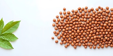 Hazelnut nut fruits with fresh green leaves food healthy diet background