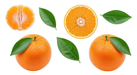 Isolated fresh oranges with leaves in different variations, close up view, healthy food