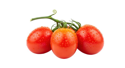 Isolated branch of fresh cherry tomatoes with water drops, healthy snack, summer crop