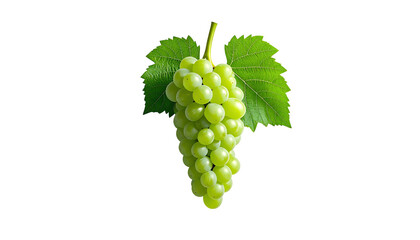 A bunch of green grapes with leaves against a stark black background