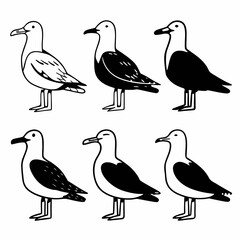 Six seagulls with different markings, black and white line drawing of seabirds