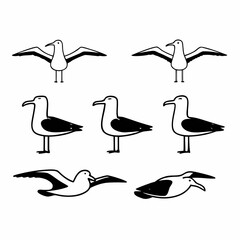 Group of seven cartoon seagulls in various poses, vector illustration