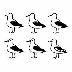 Six seagulls in various markings, simple black and white line drawing of birds
