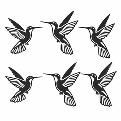 Collection of six hummingbird icons in black, featuring flying birds in different poses
