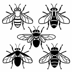 Set of bee icons in various styles vector illustration of insect