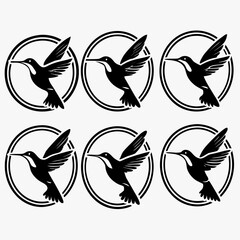 Six hummingbird illustrations in circles, showcasing delicate wings and elegant beaks