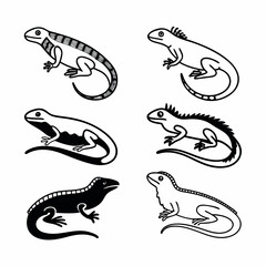 Collection of six stylized iguana illustrations, showcasing diverse designs