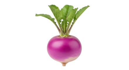 Isolated turnip with green leaves, a root vegetable in the mustard family Brassicaceae (~85 chars)
