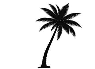 Black silhouette of a palm tree, summer theme, transparent background