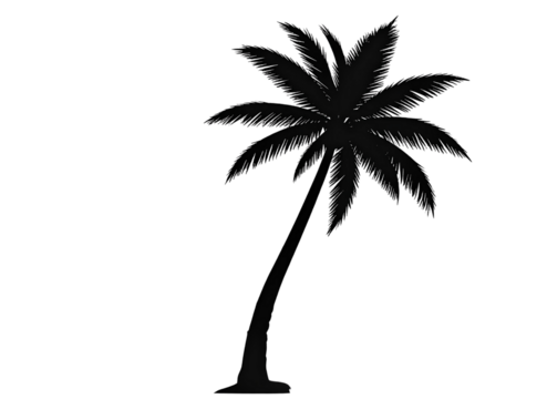 Black silhouette of a palm tree, summer theme, transparent background