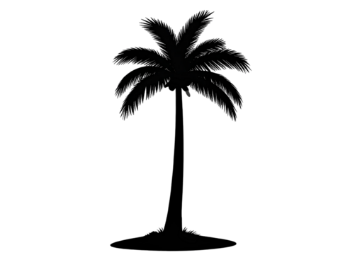 Black silhouette of a palm tree, summer theme, transparent background
