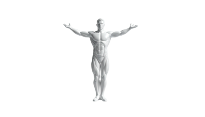 Anatomical render of a muscular human figure with arms outstretched on black