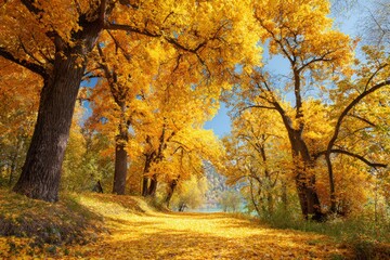 Fototapeta premium Golden autumn splendor: a park's seasonal transformation. Professional photo. Serene autumn park: a glimpse of nature's golden carpet. Creative poster. Advertising photo.