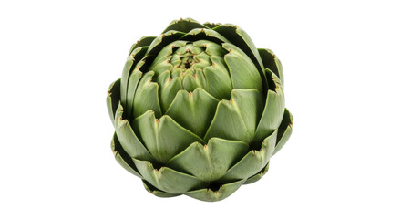 Obraz premium Isolated artichoke, fresh thistle flower bud, vegetable, healthy eating ingredient