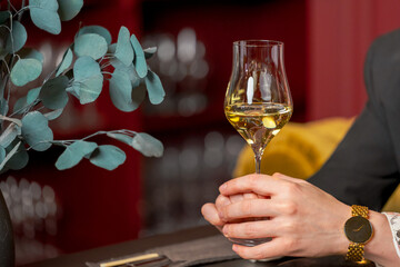 Elegant close-up of hands holding a white wine glass in a refined lounge setting, featuring a gold wristwatch and decorative teal plant in the background.