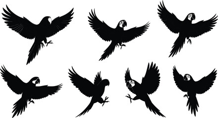 Silhouette parrots flying landing wings spread tropical birds wildlife illustration exotic avian shapes vector design isolated black animal art