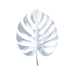 A sleek, white Monstera leaf with a glossy finish stands out against a stark transparent background. Modern botanical elegance. background removed