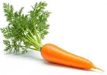 Fresh organic carrot vegetable healthy food orange carrot isolated on white background on transparent background
