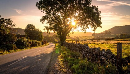 Sun shines through a tree on road by a stone wall with a distant landscape