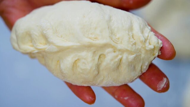 Pyanse, pigodi or Wangmandu steamed pie, dumpling stuffed with cabbage and meat