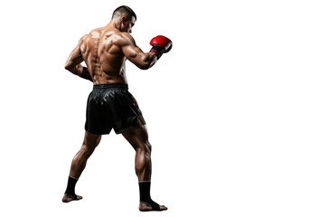 Muscular boxer in fighting stance isolated on transparent background