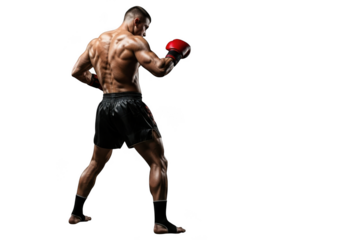 Muscular boxer in fighting stance isolated on transparent background