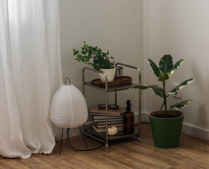 A stylish corner of the living room - a metal table with books and decor, a paper lamp, indoor flowers on the wooden floor in the living room