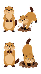 Cute cartoon set of a groundhog or marmot in various poses: standing, digging, eating, and entering a burrow, vector illustration.