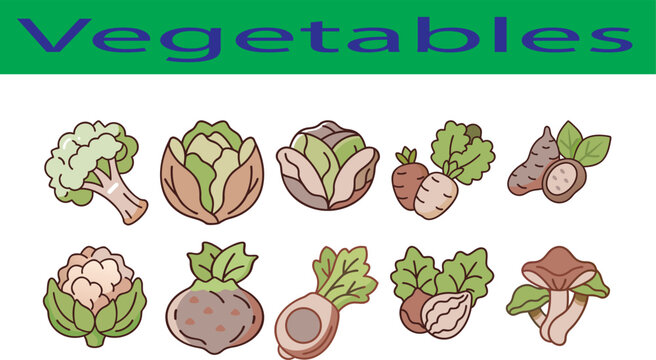 Versatile graphic elements collection with diverse color options and typography isolated on transparent background