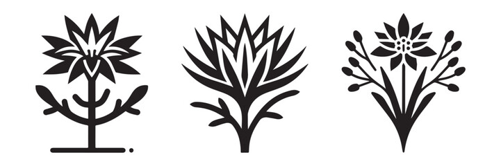 Nature Landscape Outdoor Desert Flower Icon, Flat Silhouette of an Outdoor Scenery Vector for Adventure Illustration Design