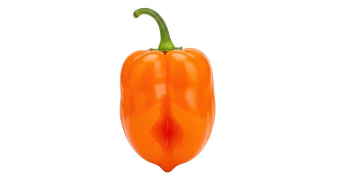 Isolated orange habanero chili pepper with stem, fiery heat, culinary ingredient close-up