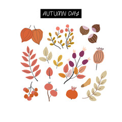Hand drawn collection of autumn forest leaves, branches and berries isolated on white background. Set of fall botanical elements. Vector clipart.