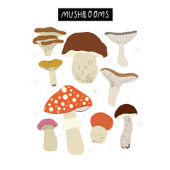 Hand drawn collection of autumn forest mushrooms isolated on white background. Set of fall botanical fungi elements. Vector clipart.