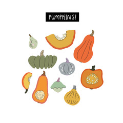 Cute doodle style squashes and pumpkins vector collection isolated on white. Hand drawn autumn set. Clipart of fall harvest of vegetables.